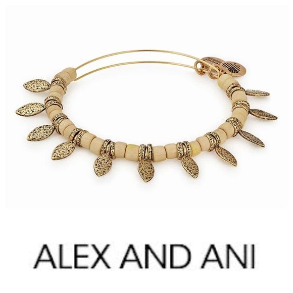 ALEX and Ani Bracelet - Picture 1 of 4